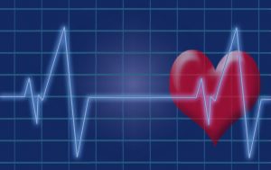 Scientists Revive Donated Hearts to Study Erratic Rhythms